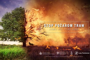 Plakat Stop pożarom traw